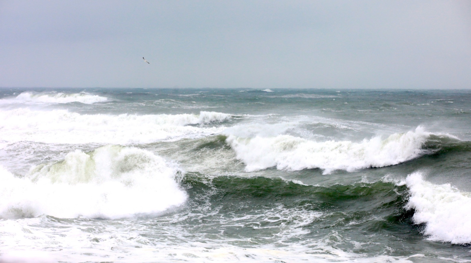 constanta-sub-cod-galben-de-vant