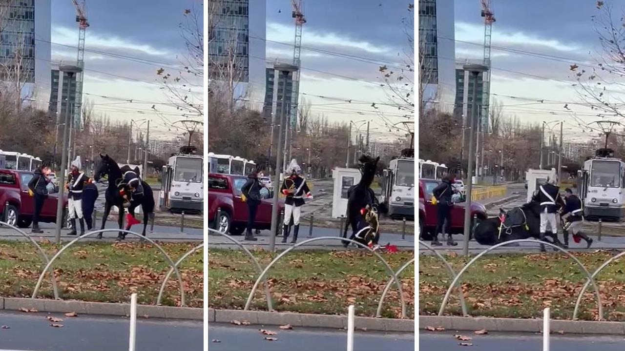 Videoclipul zilei. Cum a reușit un jandarm să cadă de pe cal înaintea paradei de 1 Decembrie